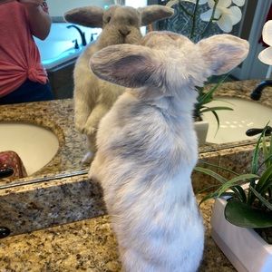 Meet your Posher, Macie